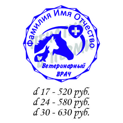 Макет 16